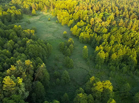 Environment